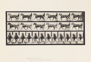 595. tányér. Ringató (Pacing): Sulky; Brown Horse Pronto alkotó: Eadweard Muybridge
