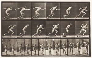 59. tábla. Futás indulása (cipők) alkotó: Eadweard Muybridge