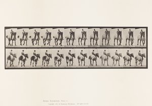 Tányér 600. Ügető; Csupasz hátú; Sötétszürke Dusel alkotó: Eadweard Muybridge