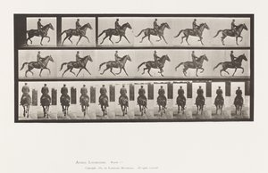 Tányér 601. Ügető; Nyereg; Barna Kanca szépség alkotó: Eadweard Muybridge