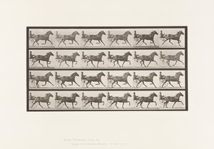 Tányér 609. Ügető; Duzzogó; Bay Mare, Lizzie M. alkotó: Eadweard Muybridge