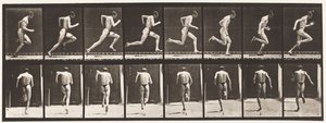 61. tábla. Teljes sebességgel futás (tökéletlen akció, cipők) alkotó: Eadweard Muybridge