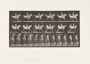 tábla 622. Canter; Nyereg; Rider, 43 éves, akt; szürke ló Smith, 1885 alkotó: Eadweard Muybridge