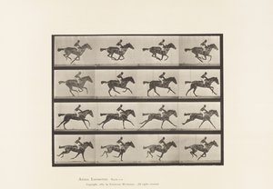 tábla 626. Vágta; Telivér Bay Mare Annie G. alkotó: Eadweard Muybridge