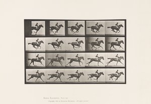 tábla 627. Vágta; Telivér Bay Mare Annie G. alkotó: Eadweard Muybridge