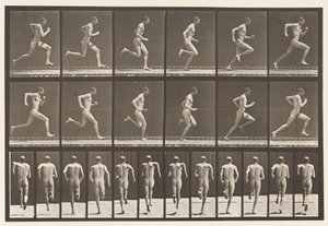 62. tábla. Teljes sebességgel futás., 1872-1885 alkotó: Eadweard Muybridge