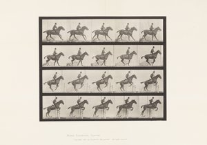 636. tábla Gátugrás; Nyereg; Felkészülés az ugrásra alkotó: Eadweard Muybridge
