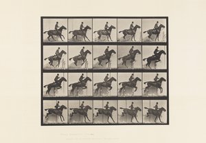 tábla 638. Gátugrás; Nyereg; Bay Horse Daisy alkotó: Eadweard Muybridge