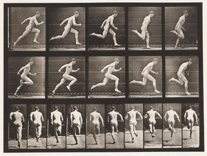 63. tábla. Teljes sebességgel fut. alkotó: Eadweard Muybridge