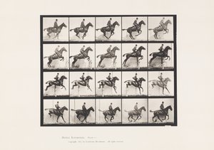 640. tábla Gátugrás; Nyereg; Bay Horse Daisy alkotó: Eadweard Muybridge