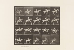 642. tábla Gátugrás; Nyereg; Rider, 105, akt; Szürke Kanca, 1885 alkotó: Eadweard Muybridge