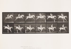 643. tábla.Gátugrás; Csupasz hátú; Elszámolás és leszállás; alkotó: Eadweard Muybridge