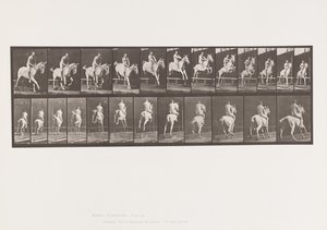 647. tábla Gátugrás; Csupasz hátú; Lovas alkotó: Eadweard Muybridge