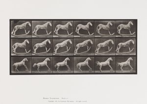 649.A tábla, Hornet, Ringató; B, Eagle, Rolling Barrel stb. alkotó: Eadweard Muybridge
