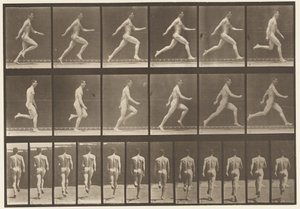 64. tábla. Teljes sebességgel fut alkotó: Eadweard Muybridge