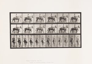 tábla 653. Séta; Nyereg; Sánta, jobb első láb; Lóbőr alkotó: Eadweard Muybridge