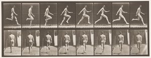 65. tábla. Teljes sebességgel futás., 1872-1885 alkotó: Eadweard Muybridge