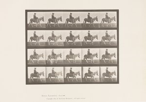 tábla 666. Szamár; Séta; Nyereg; Lovagló lány, Állatkert alkotó: Eadweard Muybridge