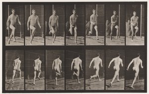 66. tábla Futás alkotó: Eadweard Muybridge