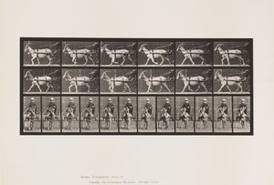 tábla 678. Kecske; Ügető, Sulkyban alkotó: Eadweard Muybridge