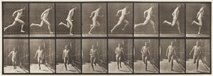 67. tábla Futó, 1872-1885 alkotó: Eadweard Muybridge