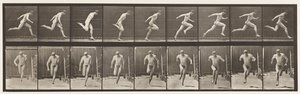 68. tábla Futó, 1872-1885 alkotó: Eadweard Muybridge