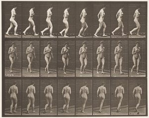 70. tábla Futó., 1872-1885 alkotó: Eadweard Muybridge