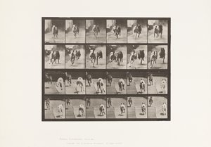 tábla 711. Kutyák; Két verseny; A, B; Versenykutyák, Ike és Maggie alkotó: Eadweard Muybridge