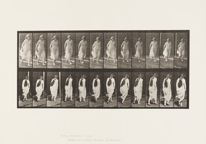 71. tábla.Futó, 1885 alkotó: Eadweard Muybridge
