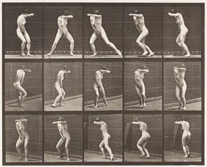 73. tábla. Megfordulás meglepetésében és menekülés, 1872-1885 alkotó: Eadweard Muybridge