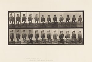 741. tábla Baktriai teve; A, Séta; B, állványozás alkotó: Eadweard Muybridge