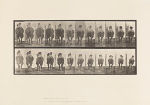 tábla 742. Baktriai teve; A, állványok; B, Vágtázó alkotó: Eadweard Muybridge