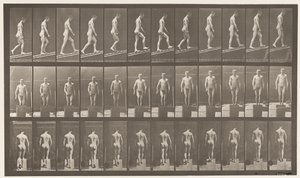 74. tábla. Emelkedő lejtő, szög 1 a 4-ben alkotó: Eadweard Muybridge