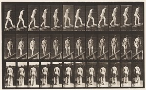 76. tábla. Emelkedő lejtő alkotó: Eadweard Muybridge