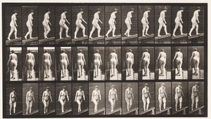 77. tábla. Emelkedő lejtő alkotó: Eadweard Muybridge