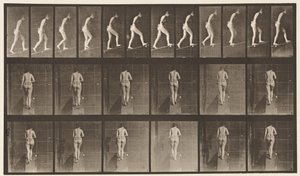 79. tábla. Emelkedő lejtő alkotó: Eadweard Muybridge