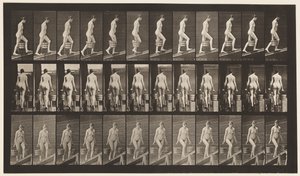 81. tábla. Emelkedő lejtő. alkotó: Eadweard Muybridge