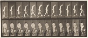 84. tábla. Emelkedő lejtő, vödör víz a jobb kézben alkotó: Eadweard Muybridge
