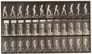 85. tábla. Emelkedő lejtő alkotó: Eadweard Muybridge
