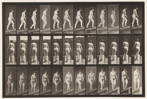 86. tábla. Emelkedő lejtő alkotó: Eadweard Muybridge