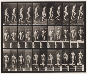 88. tábla. Felmenő lépcsők, 1872-1885 alkotó: Eadweard Muybridge
