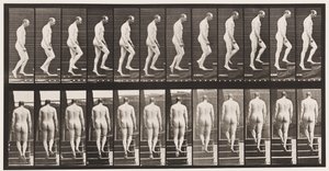 89. tábla. Felmenő lépcsők alkotó: Eadweard Muybridge