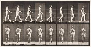 Tányér 8. Séta alkotó: Eadweard Muybridge