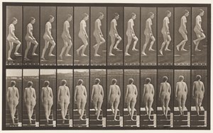 92. tábla. Felmenő lépcsők alkotó: Eadweard Muybridge