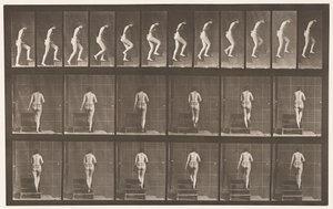 93. tábla. Felmenő lépcsők alkotó: Eadweard Muybridge