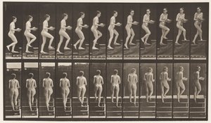 94. tábla. Felmenő lépcsők körülnézve; Medence a kezében alkotó: Eadweard Muybridge