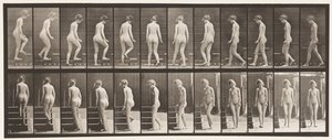 98. tábla Forduló és felmenő lépcsők, 1872-1885 alkotó: Eadweard Muybridge