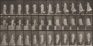  alkotó: Eadweard Muybridge