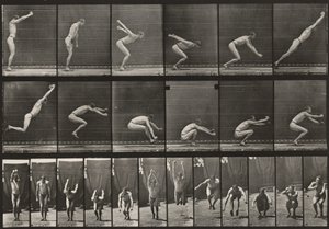  alkotó: Eadweard Muybridge