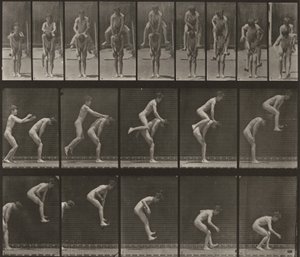  alkotó: Eadweard Muybridge